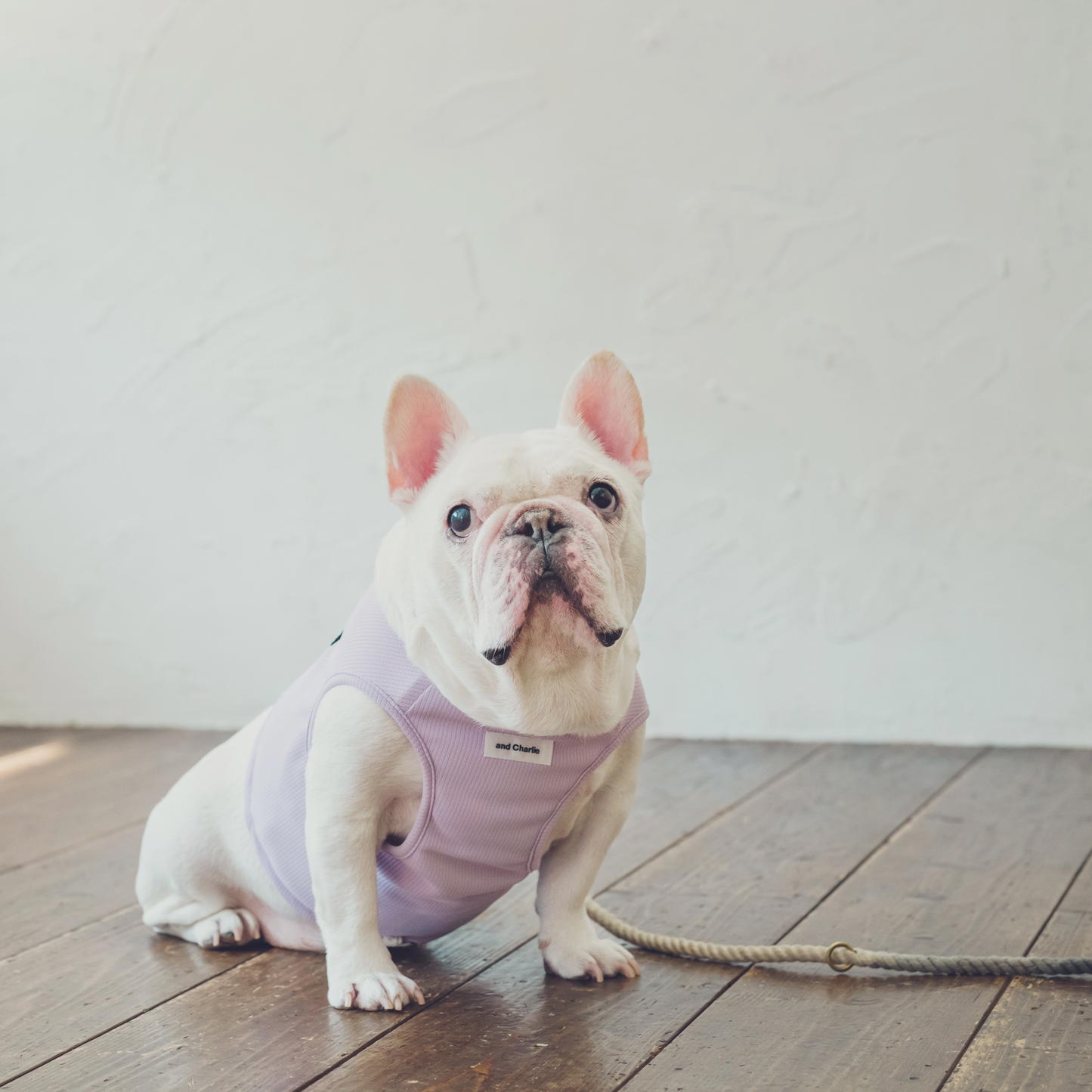 2025クールベスト -ラベンダー-|フレブル服andCharlie