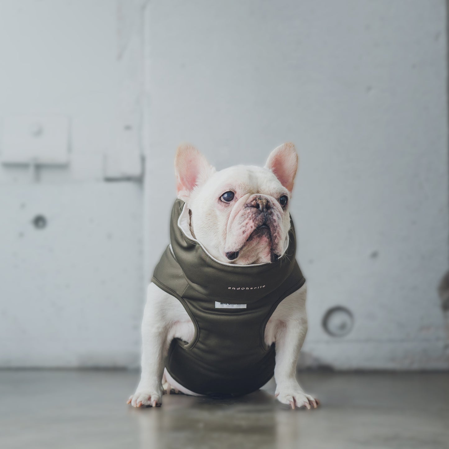 クールネック - スミクロ -|フレブル服andCharlie