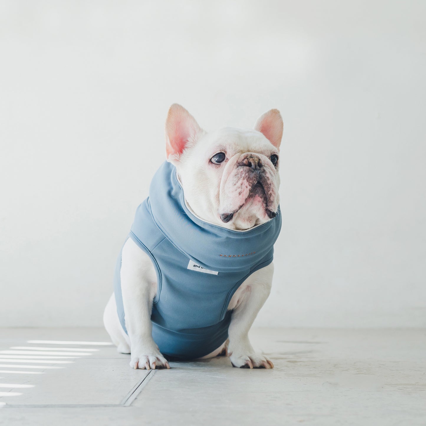 クールベスト - スチールブルー -|フレブル服andCharlie