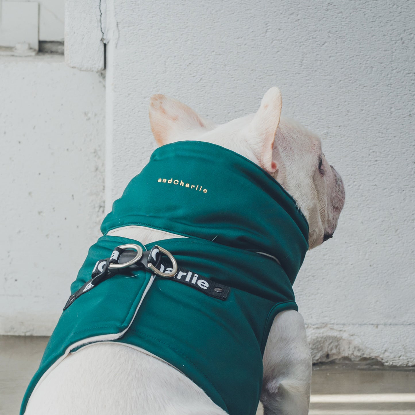 クールベスト - グリーン -|フレブル服andCharlie