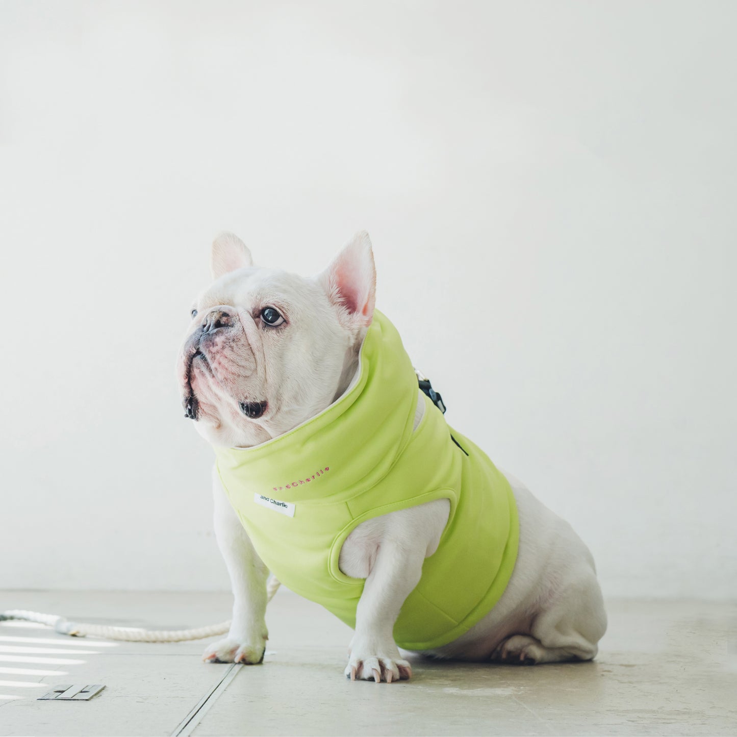 クールネック - ネオン -|フレブル服andCharlie