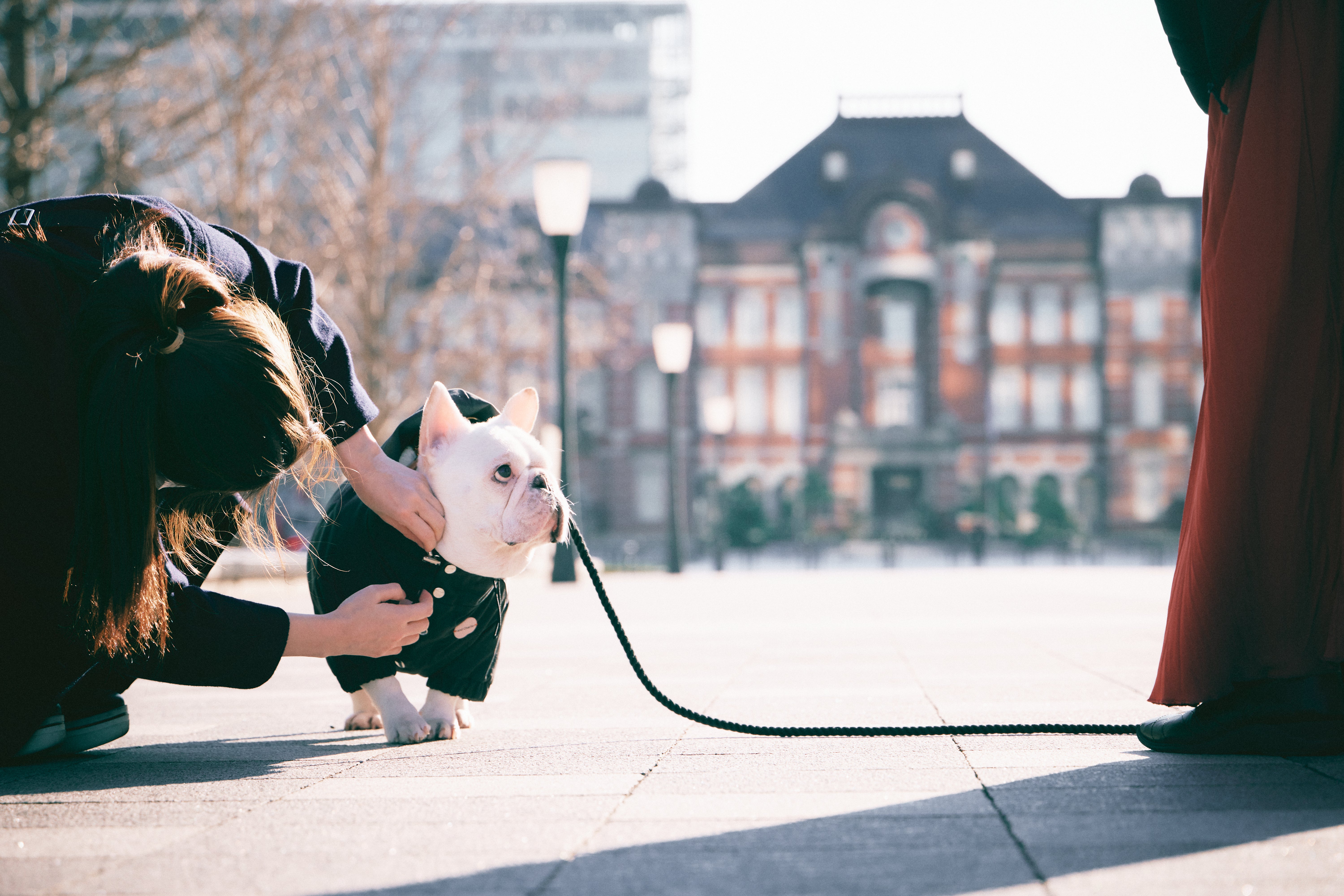 andCharlieの犬服撮影シーン。チャーリーに優しく服を着せる様子