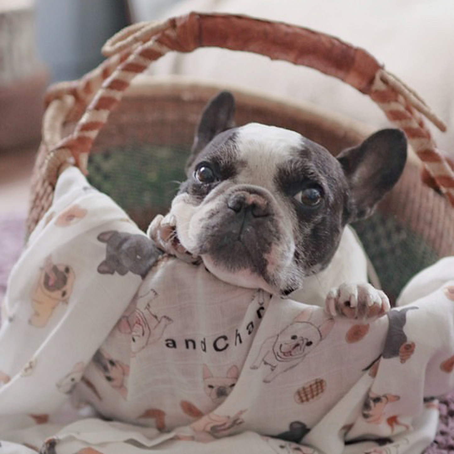 【imperfect】ガーゼケット|オーガニックコットン & バンブー –|フレブル服andCharlie