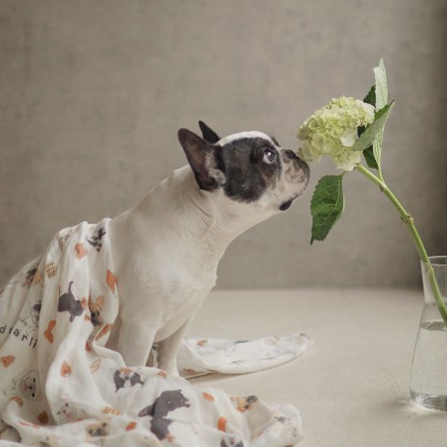 【imperfect】ガーゼケット|オーガニックコットン & バンブー –|フレブル服andCharlie