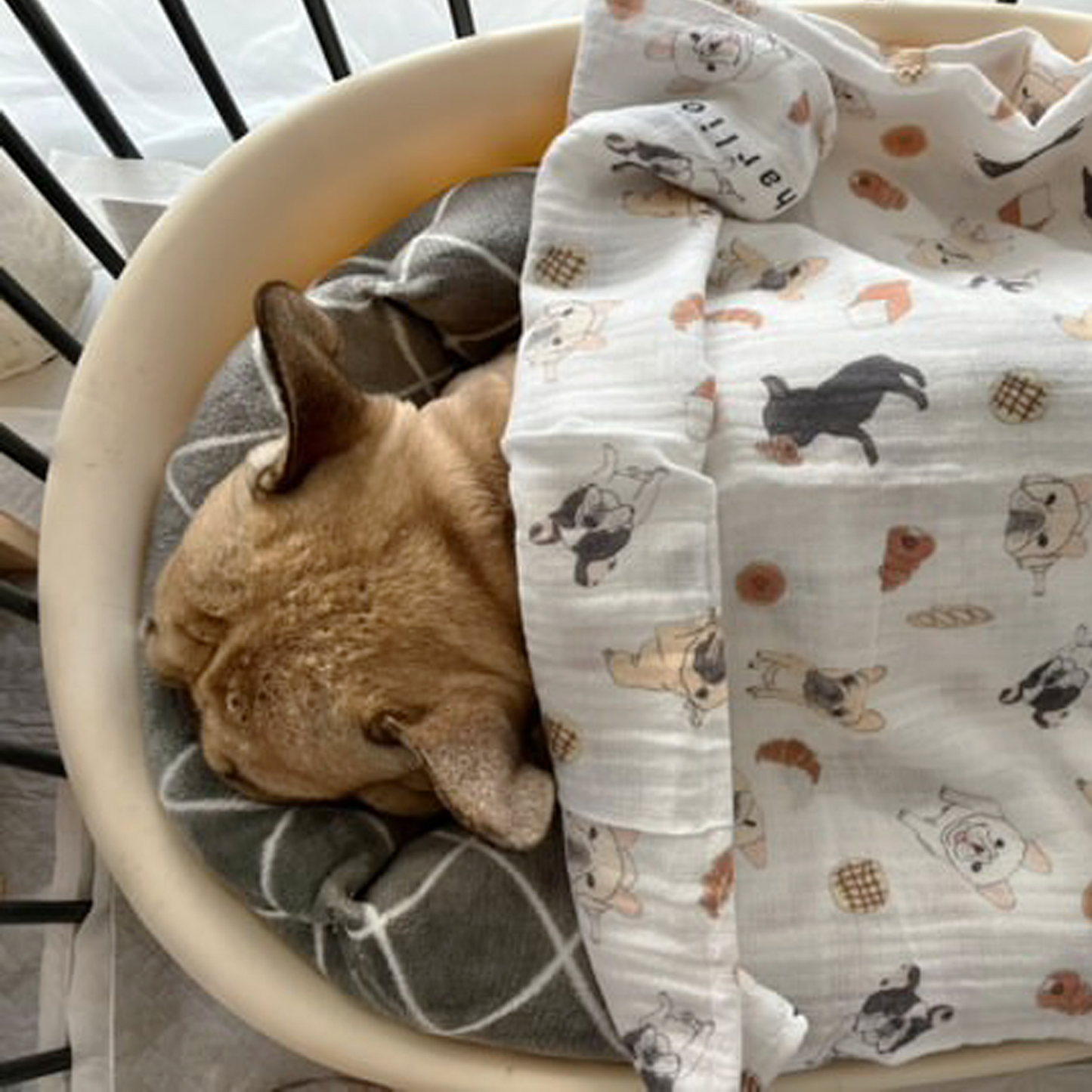 【imperfect】ガーゼケット|オーガニックコットン & バンブー –|フレブル服andCharlie