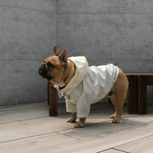 2025 マウンテンパーカー - クラウドホワイト-|フレブル服andCharlie