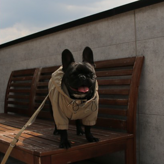 2025 マウンテンパーカー - サンドトープ -|フレブル服andCharlie