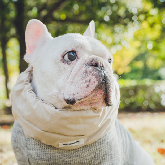 綿100%のネックウォーマー -ベージュ-|フレブル服andCharlie