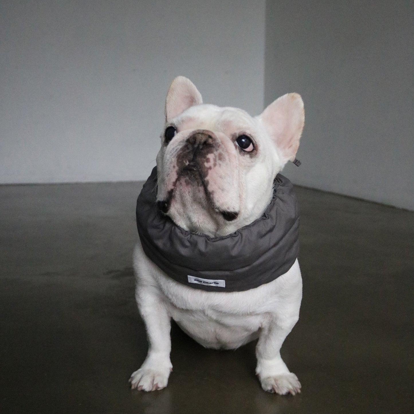 綿100%のネックウォーマー -スミクロ-|フレブル服andCharlie