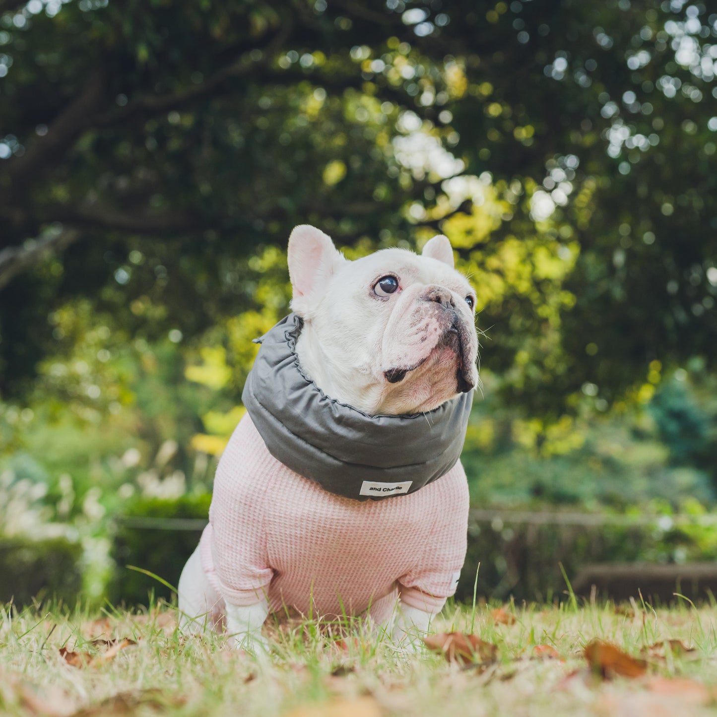 綿100%のネックウォーマー -スミクロ-|フレブル服andCharlie