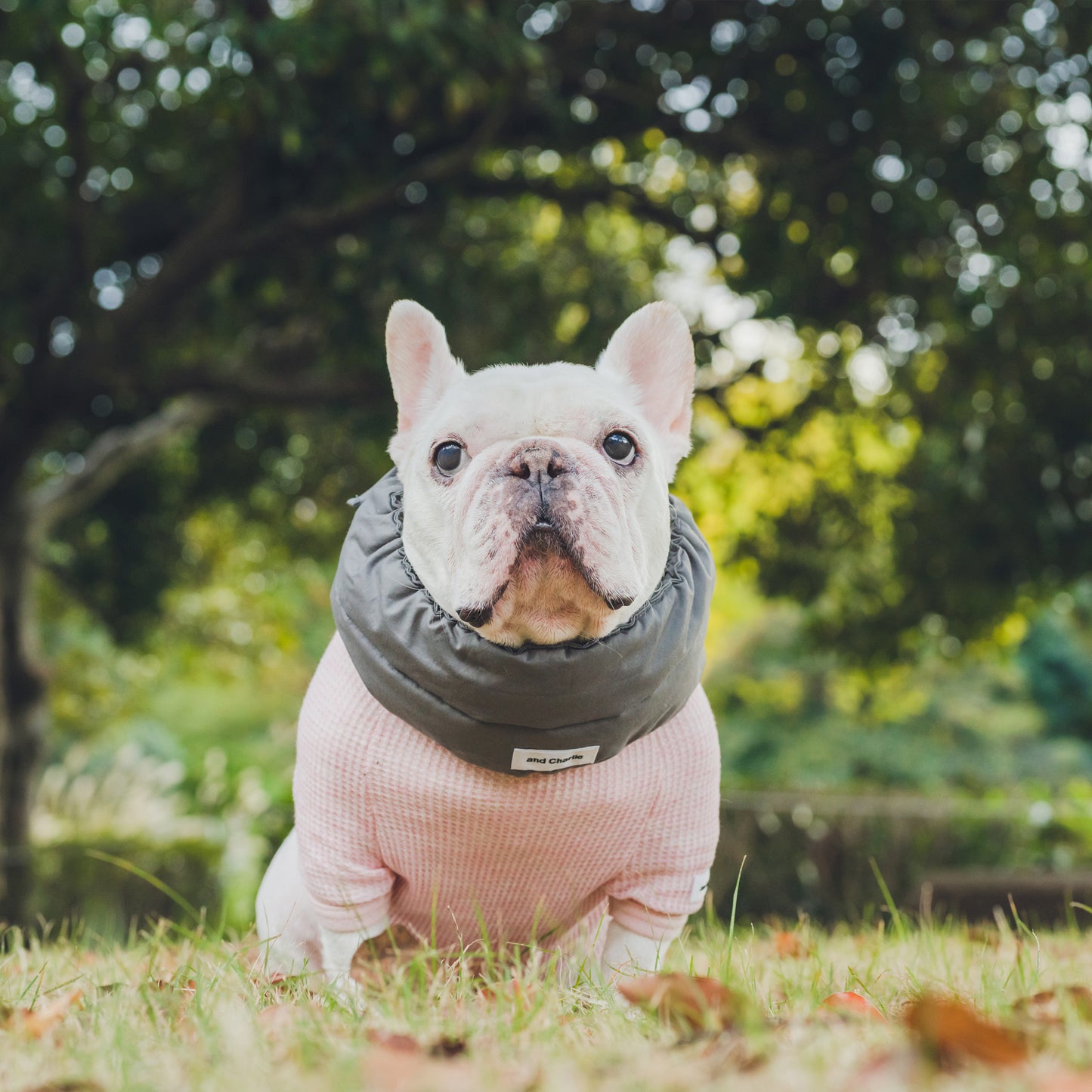 綿100%のネックウォーマー -スミクロ-|フレブル服andCharlie