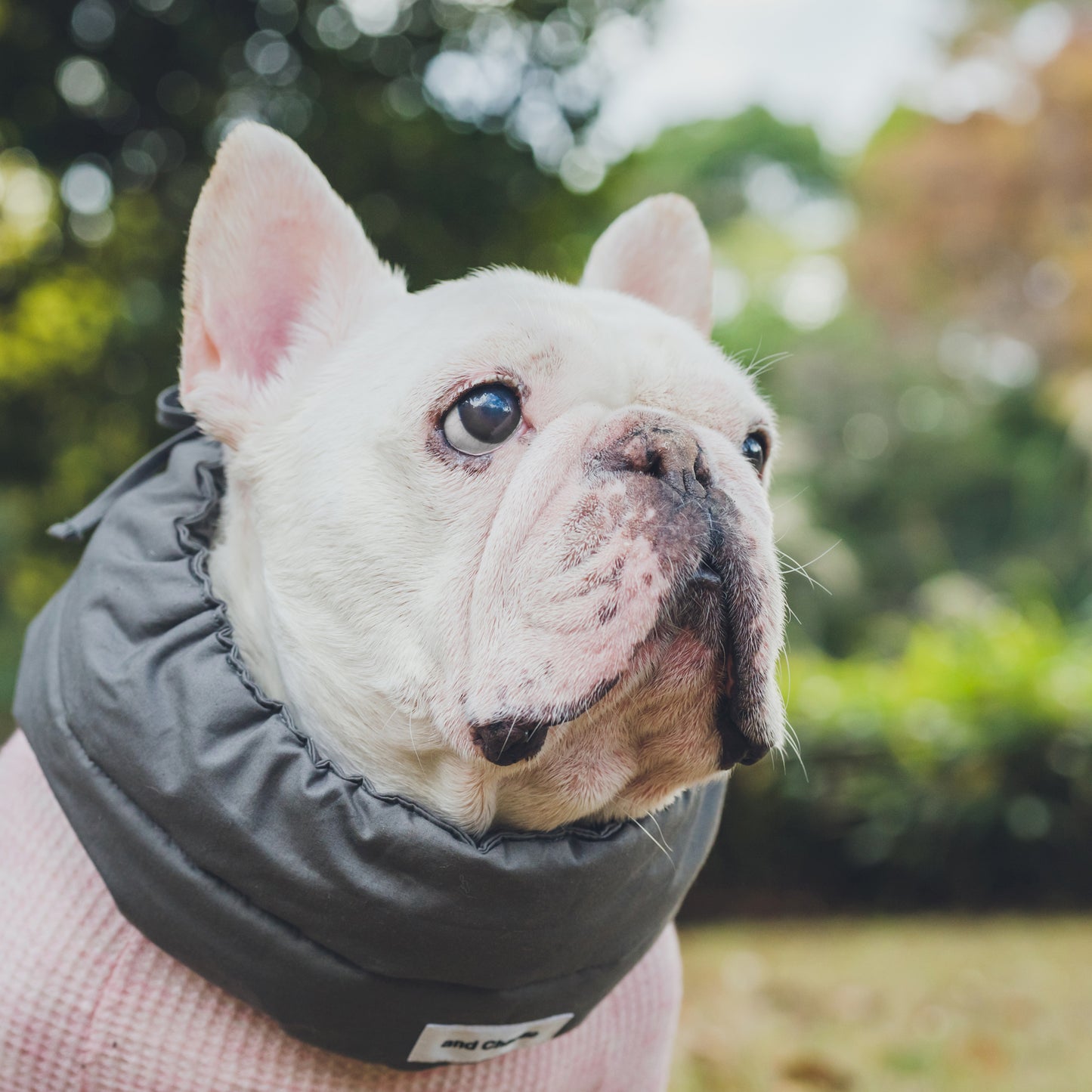 綿100%のネックウォーマー -スミクロ-|フレブル服andCharlie