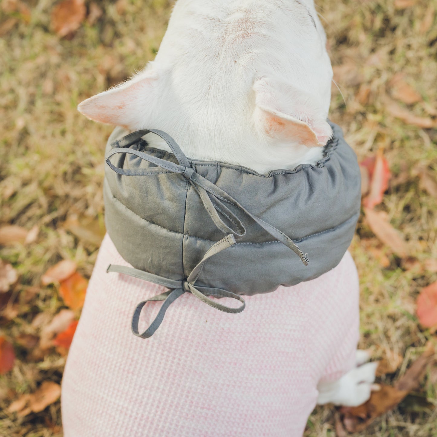 綿100%のネックウォーマー -スミクロ-|フレブル服andCharlie