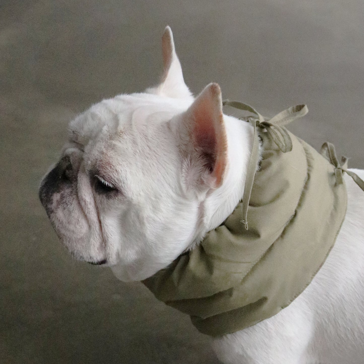 綿100%のネックウォーマー -カーキ-|フレブル服andCharlie