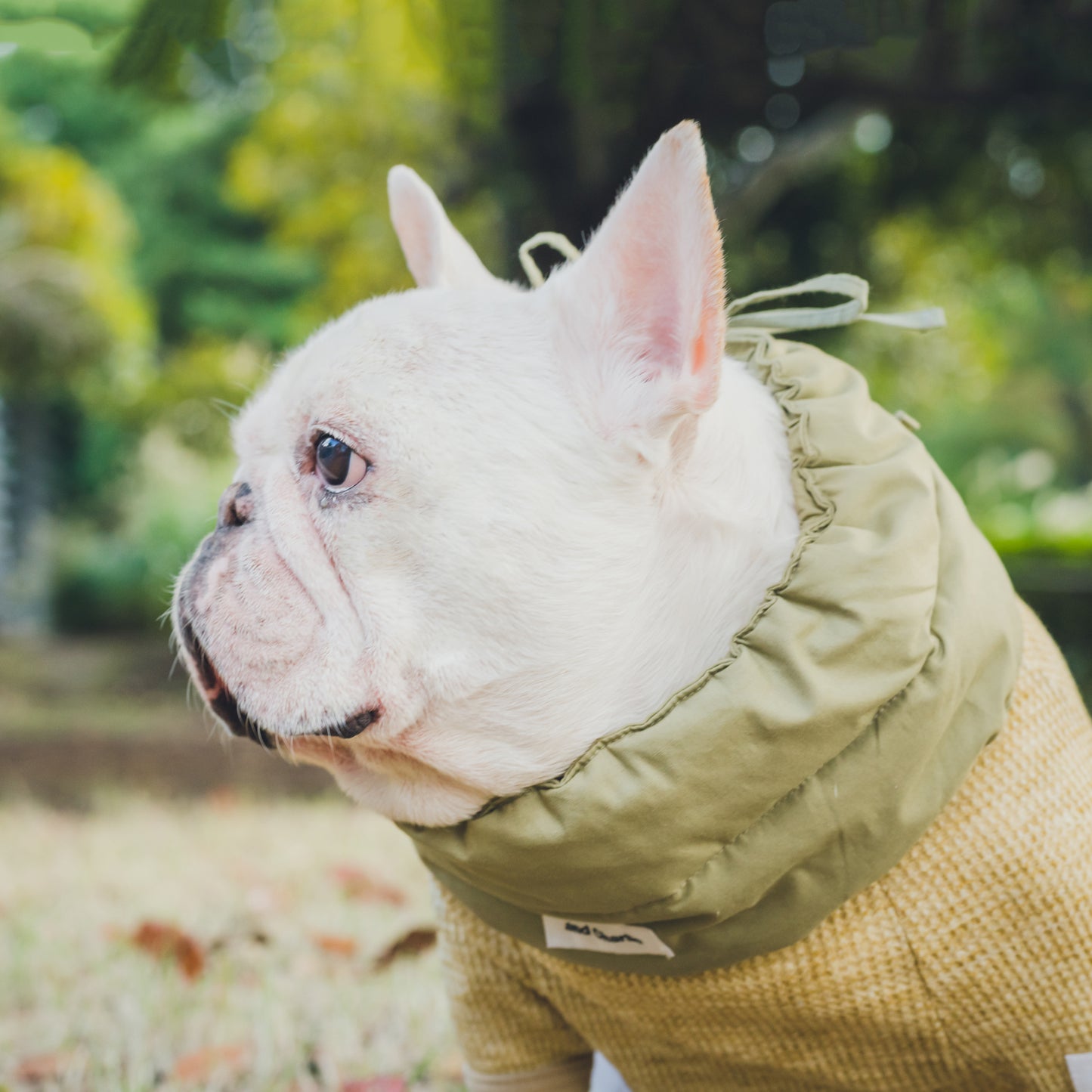 綿100%のネックウォーマー -カーキ-|フレブル服andCharlie