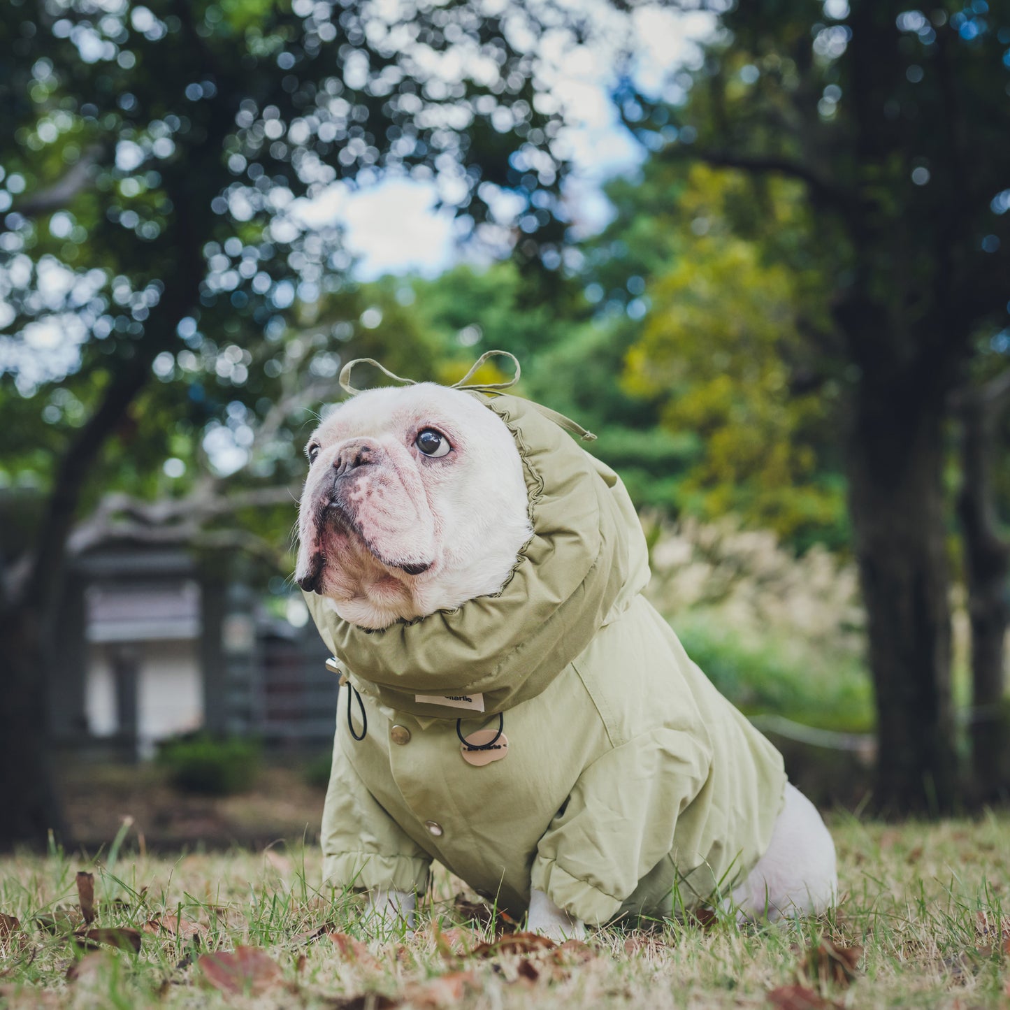 綿100%のネックウォーマー -カーキ-|フレブル服andCharlie