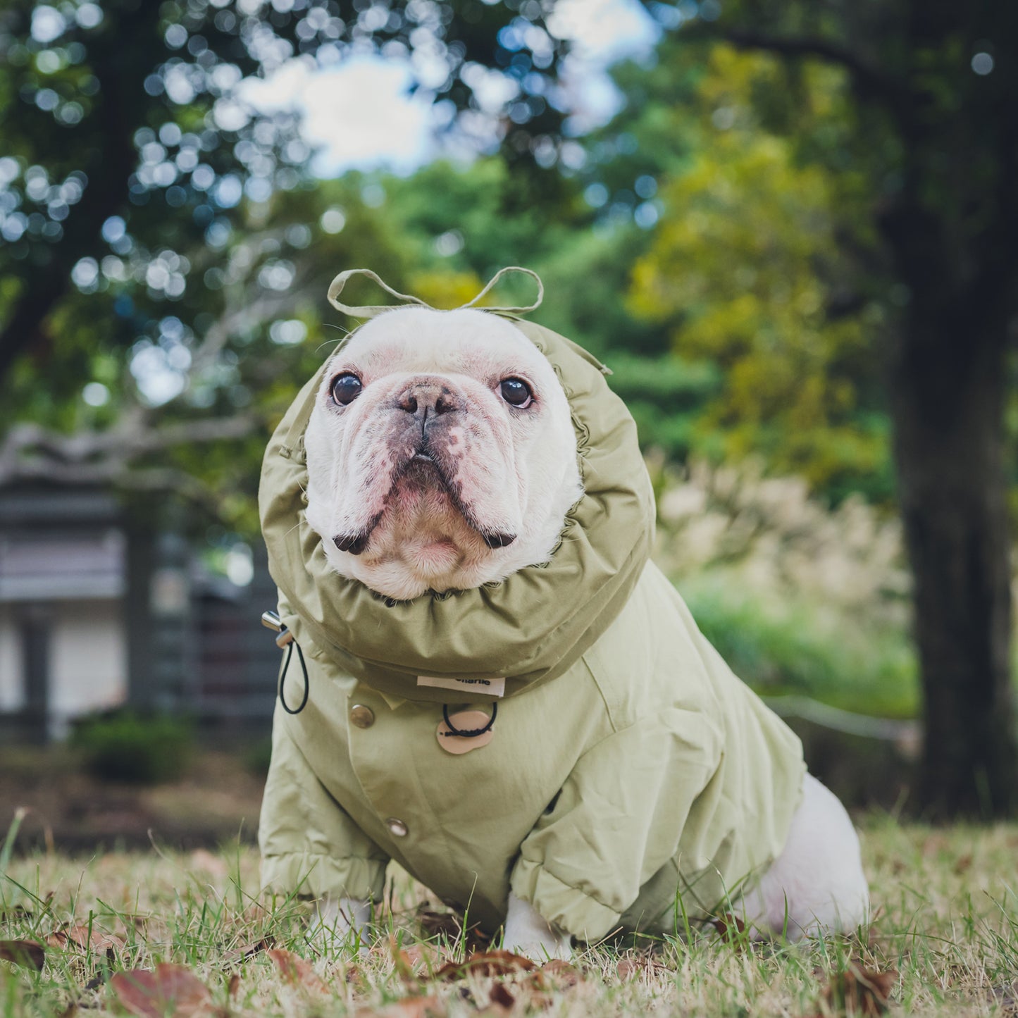 綿100%のネックウォーマー -カーキ-|フレブル服andCharlie