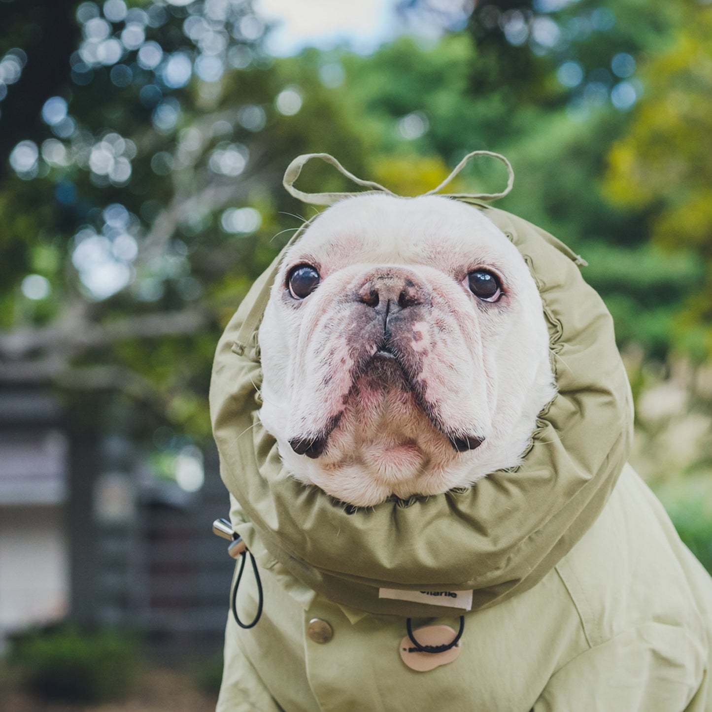 綿100%のネックウォーマー -カーキ-|フレブル服andCharlie