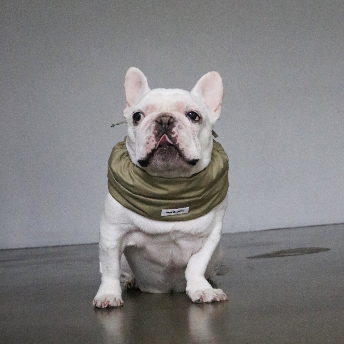 綿100%のネックウォーマー -カーキ-|フレブル服andCharlie