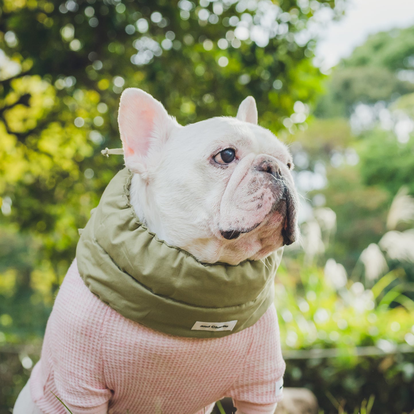 綿100%のネックウォーマー -カーキ-|フレブル服andCharlie