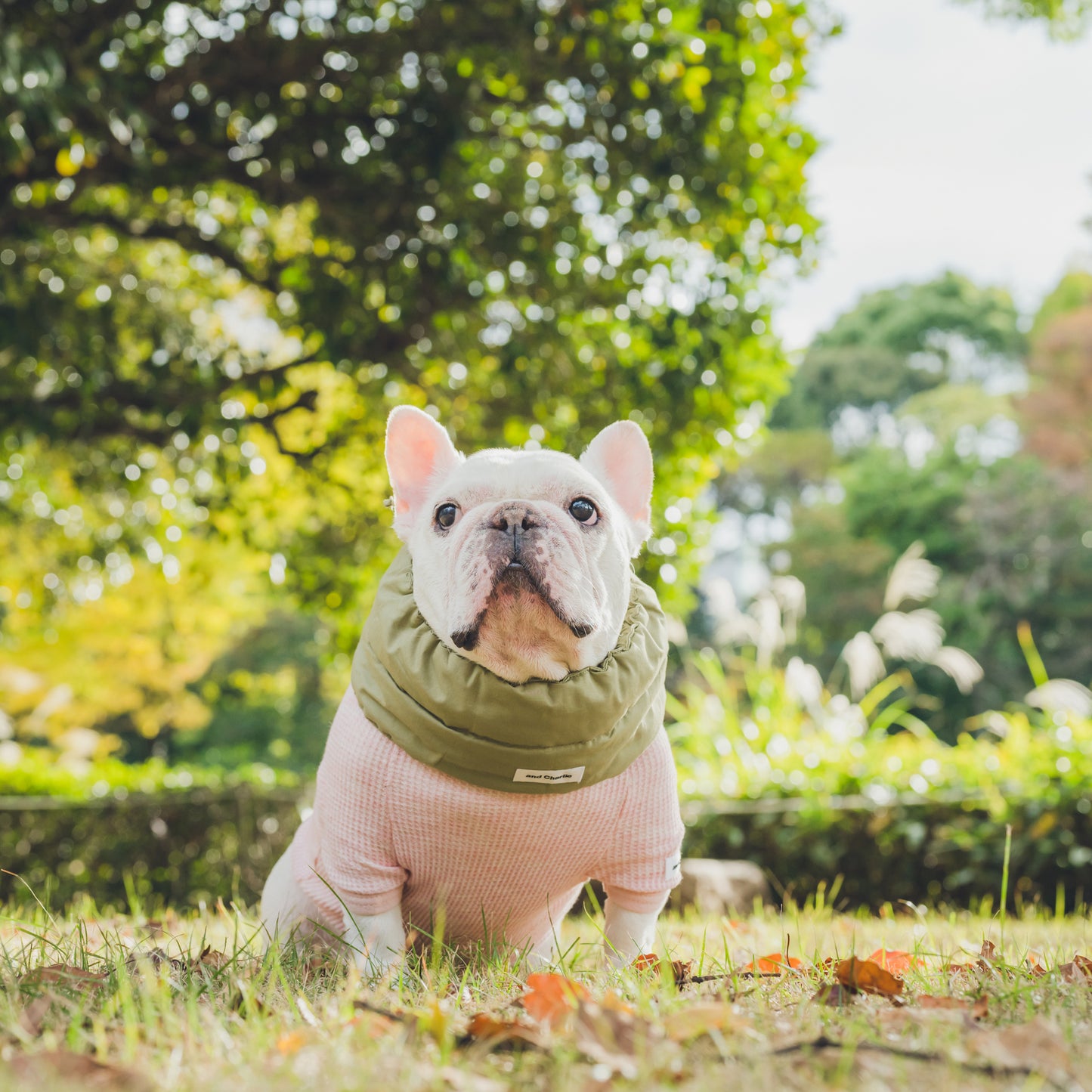 綿100%のネックウォーマー -カーキ-|フレブル服andCharlie