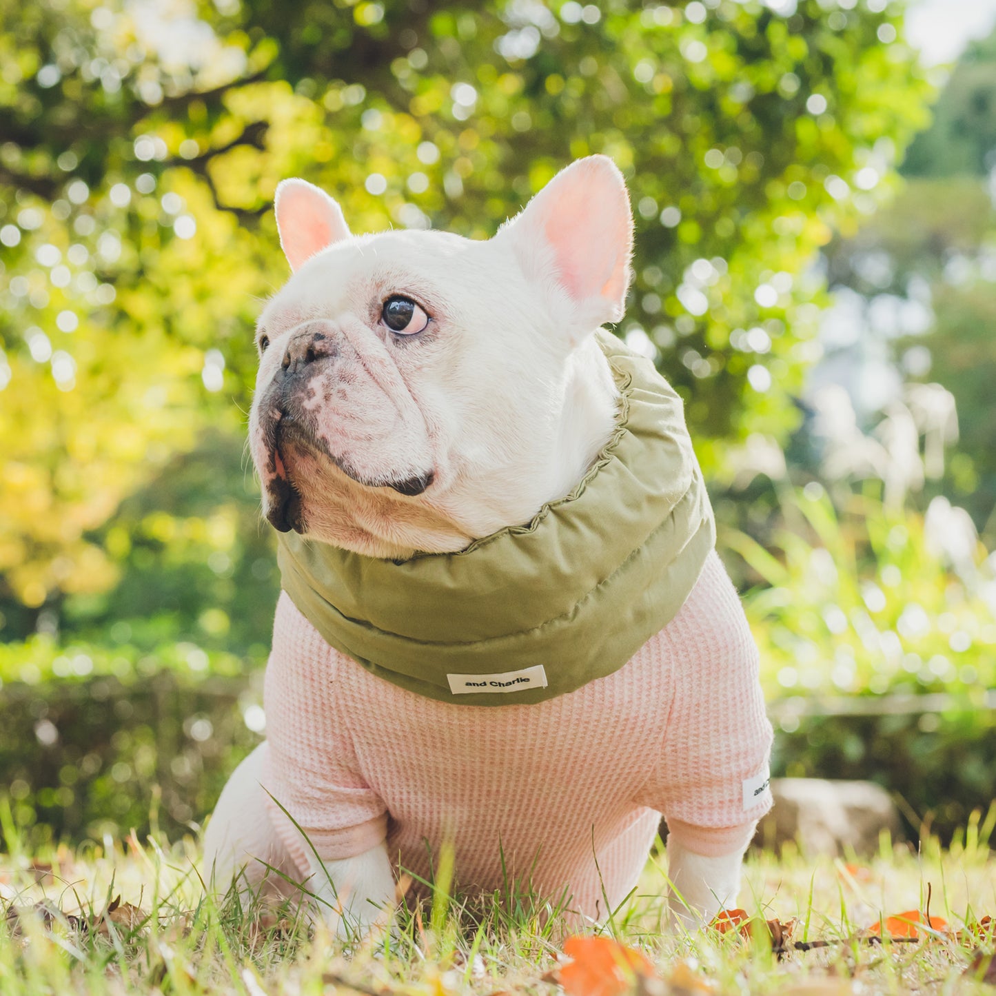 綿100%のネックウォーマー -カーキ-|フレブル服andCharlie