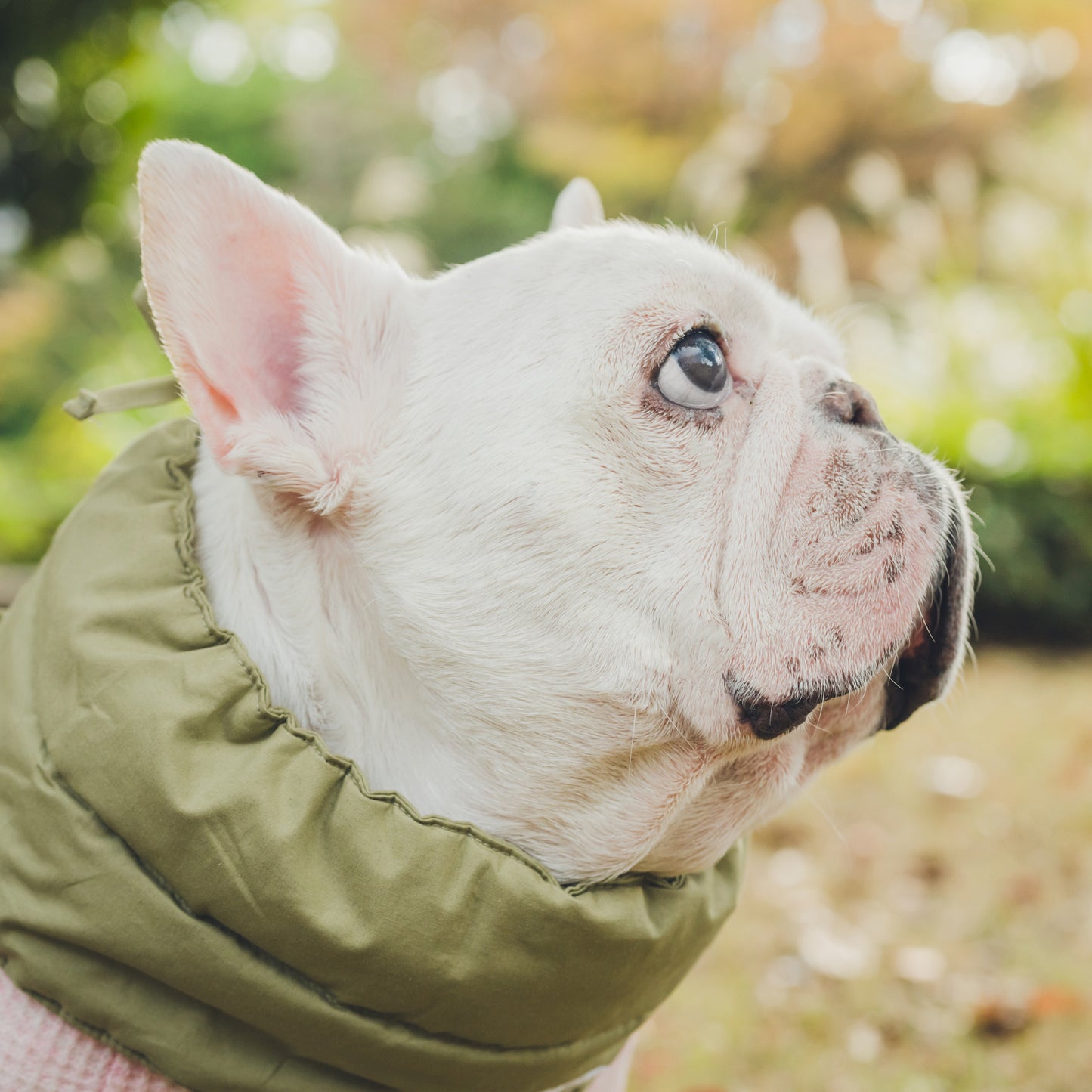 綿100%のネックウォーマー -カーキ-|フレブル服andCharlie