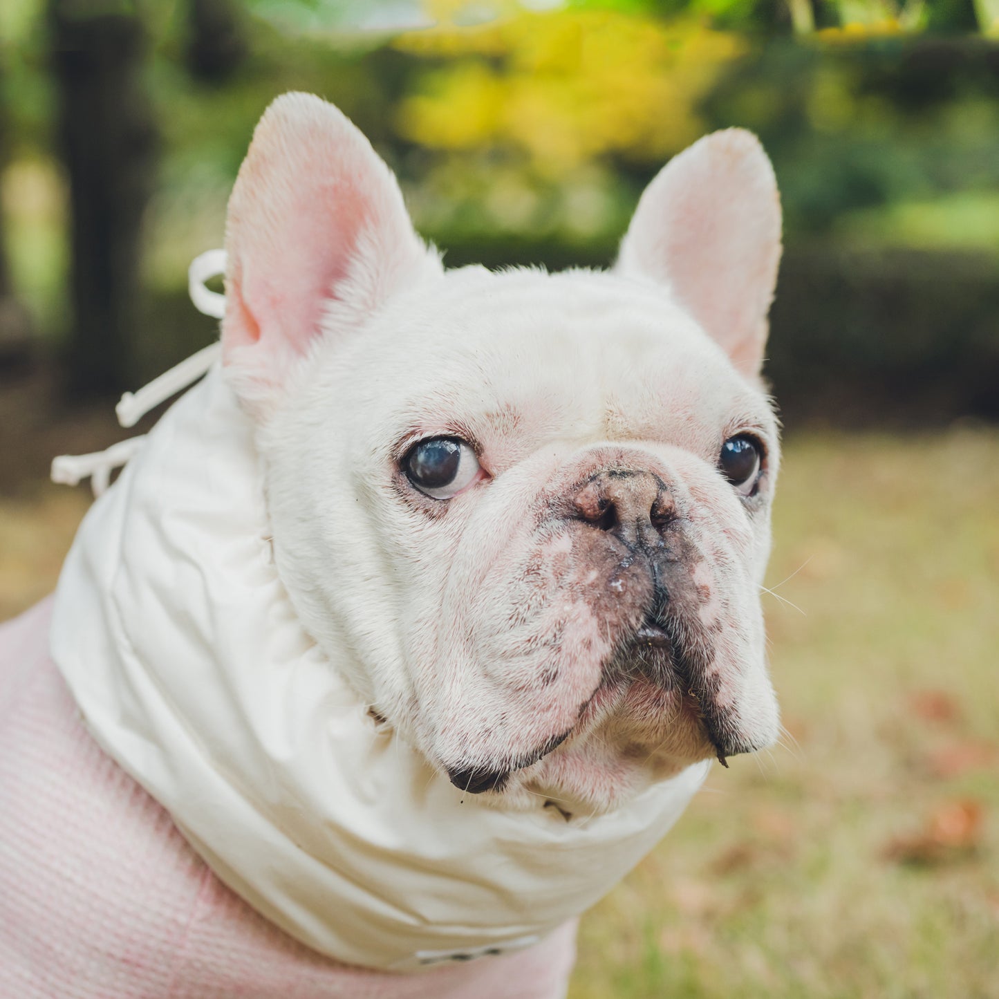 綿100%のネックウォーマー -シロ-|フレブル服andCharlie