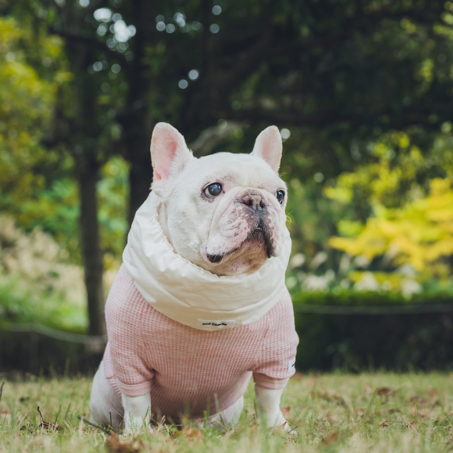 綿100%のネックウォーマー -シロ-|フレブル服andCharlie