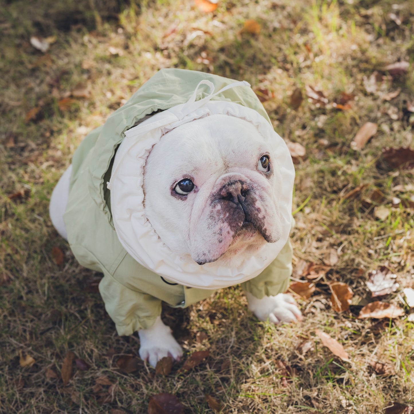 綿100%のネックウォーマー -シロ-|フレブル服andCharlie