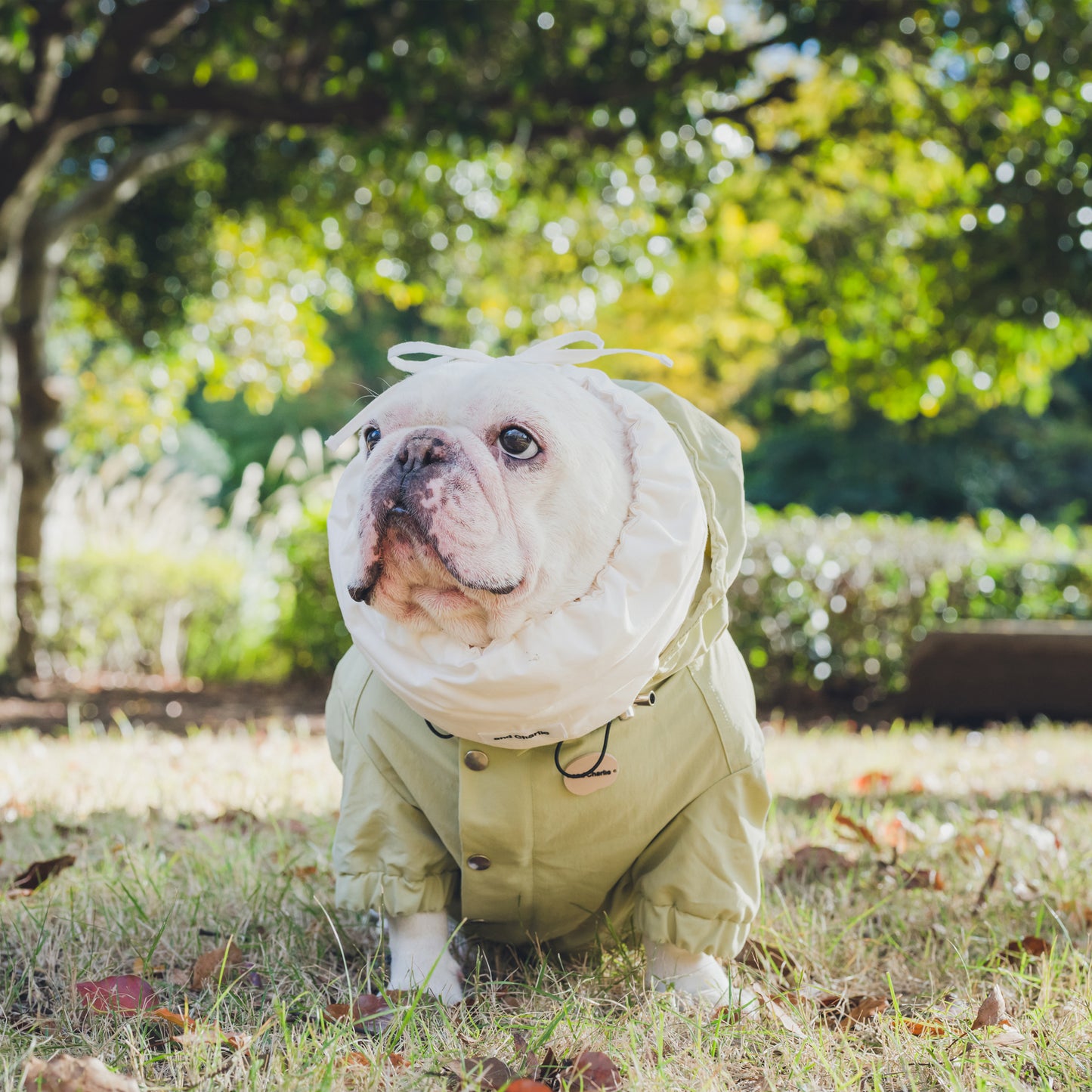 綿100%のネックウォーマー -シロ-|フレブル服andCharlie