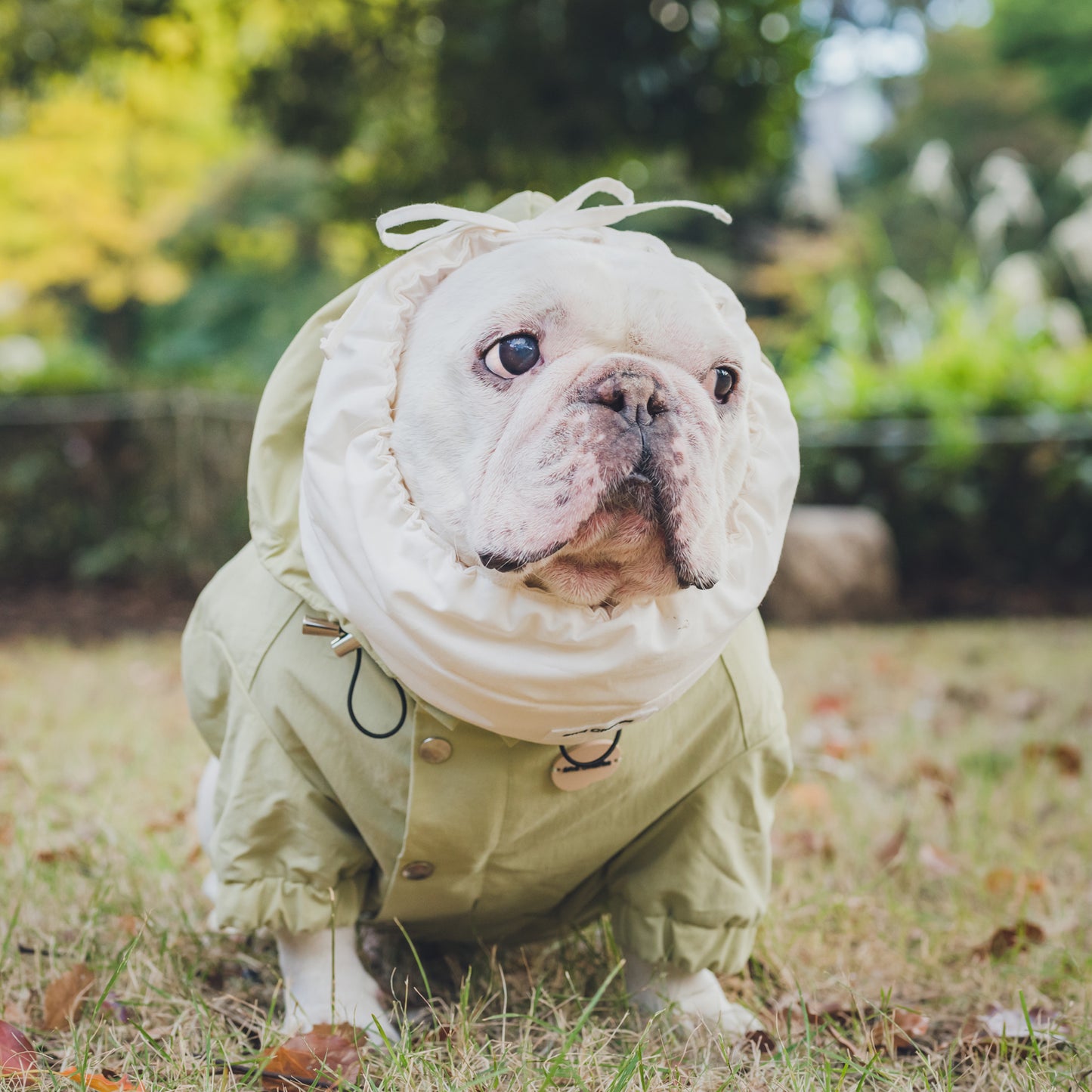 綿100%のネックウォーマー -シロ-|フレブル服andCharlie