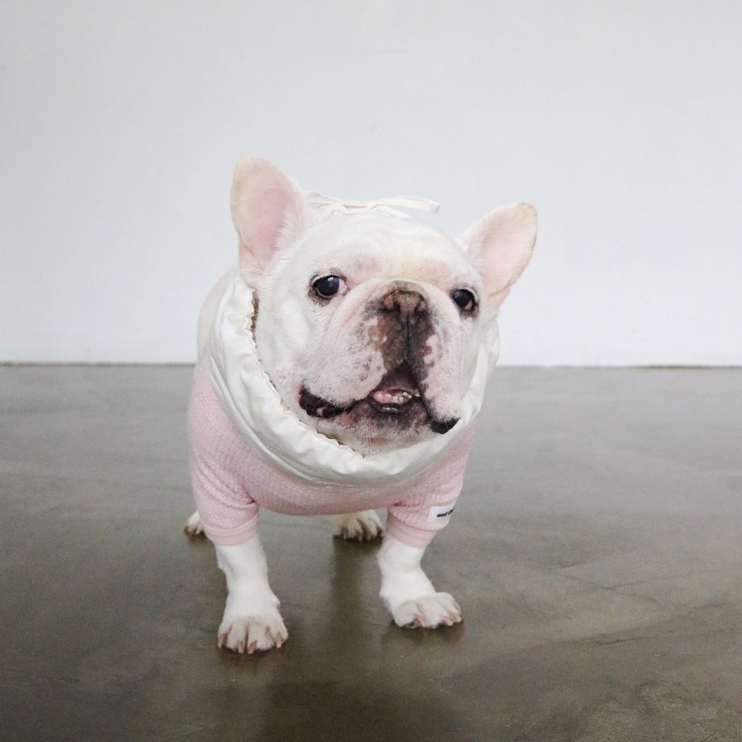 綿100%のネックウォーマー -シロ-|フレブル服andCharlie