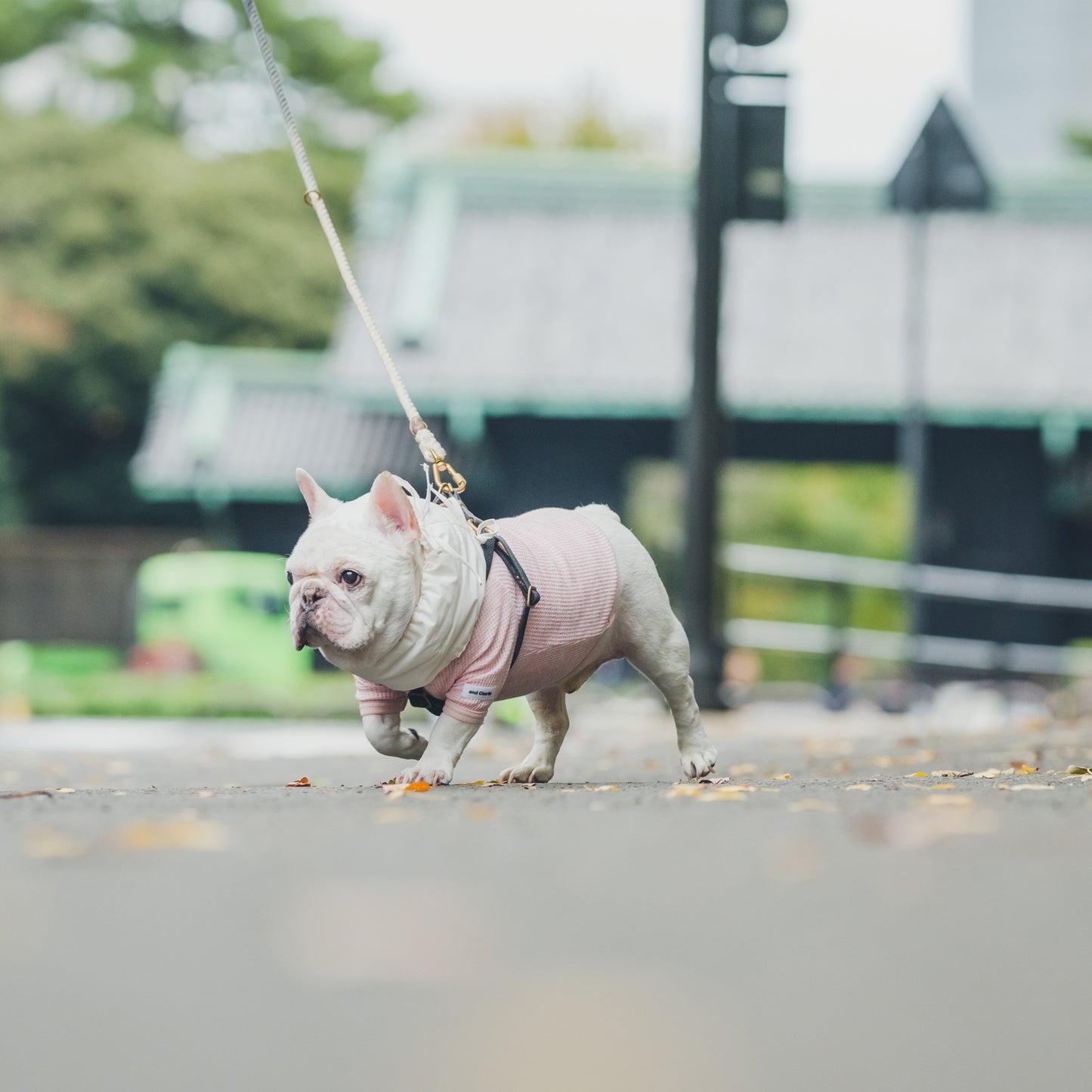 綿100%のネックウォーマー -シロ-|フレブル服andCharlie