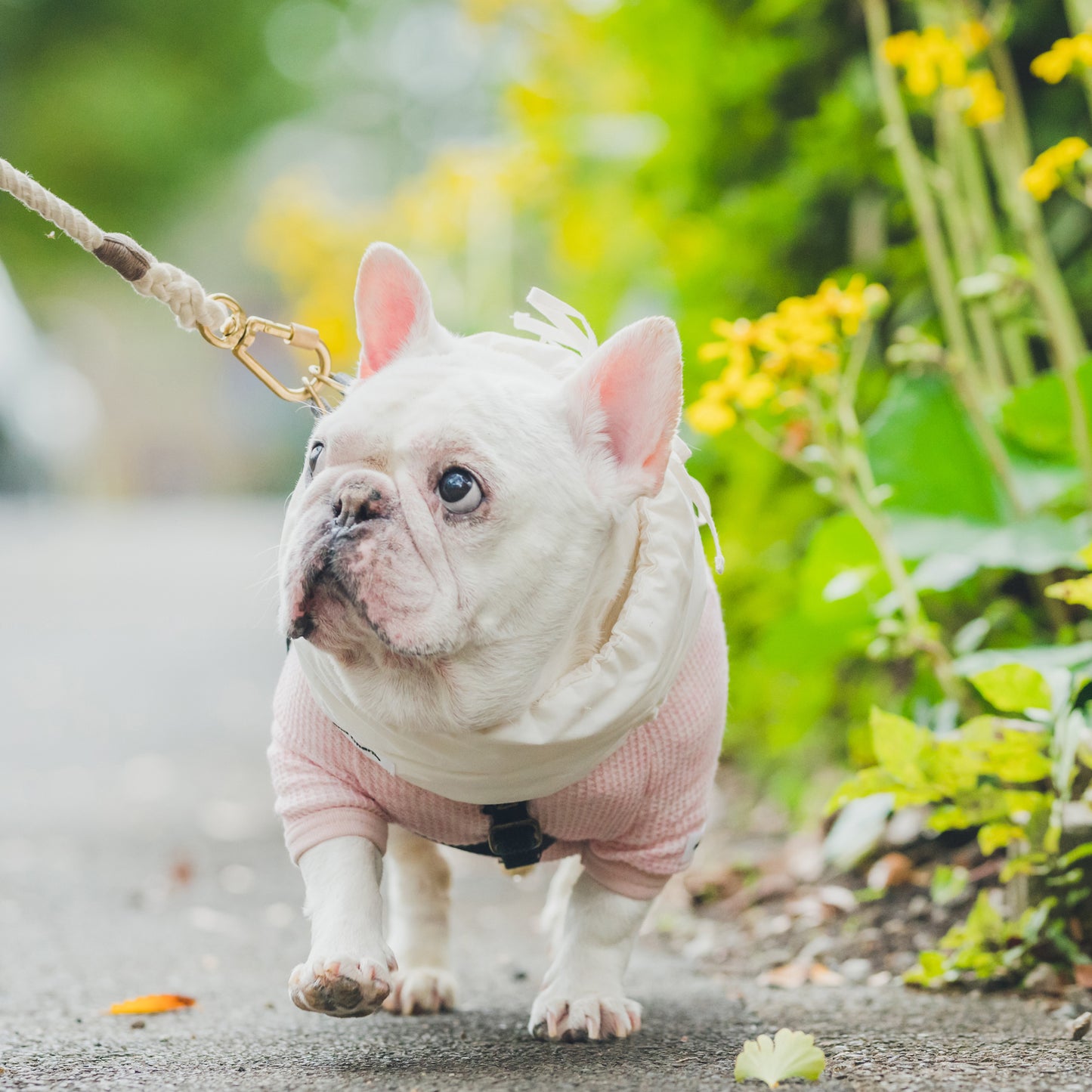 綿100%のネックウォーマー -シロ-|フレブル服andCharlie