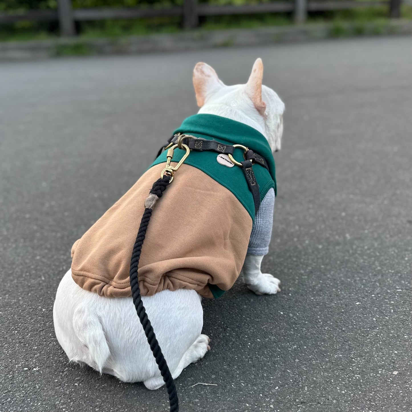 2WAYスウェット -グリーン- - #andCharlie# - #アンドチャーリー#- #フレンチブルドッグ#- #フレブル#