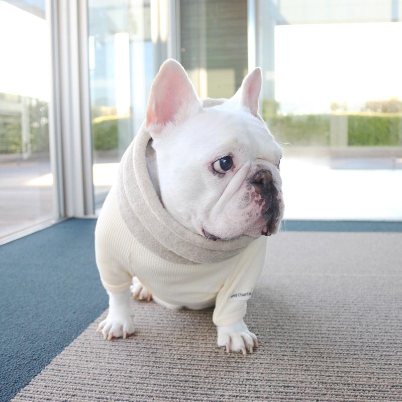 ネックウォーマー -イエローベージュ- - #andCharlie# - #アンドチャーリー#- #フレンチブルドッグ#- #フレブル#