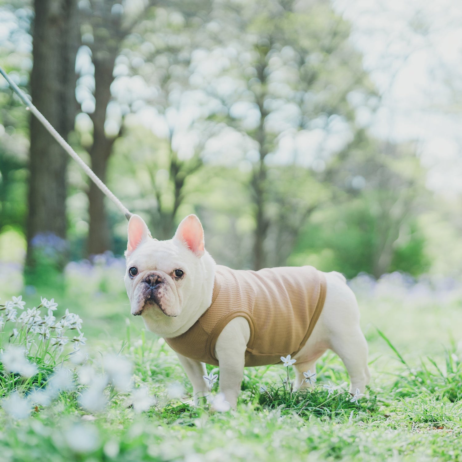 ワッフルタンク -モカ- - #andCharlie# - #アンドチャーリー#- #フレンチブルドッグ#- #フレブル#