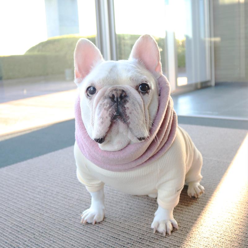 ネックウォーマー -ダスティピンク- - #andCharlie# - #アンドチャーリー#- #フレンチブルドッグ#- #フレブル#