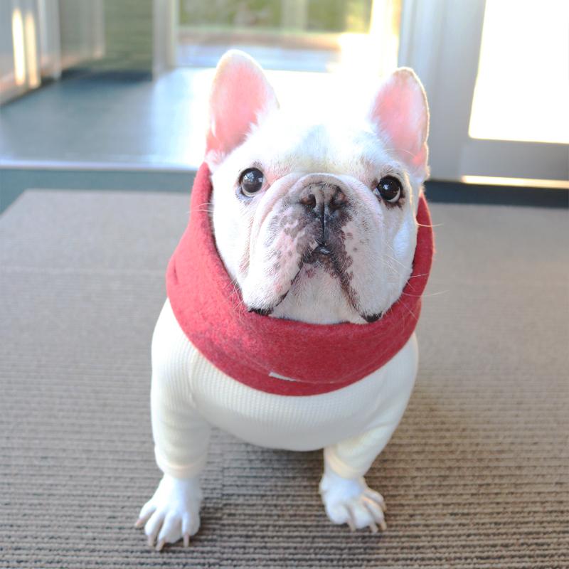 ネックウォーマー -レッド- - #andCharlie# - #アンドチャーリー#- #フレンチブルドッグ#- #フレブル#