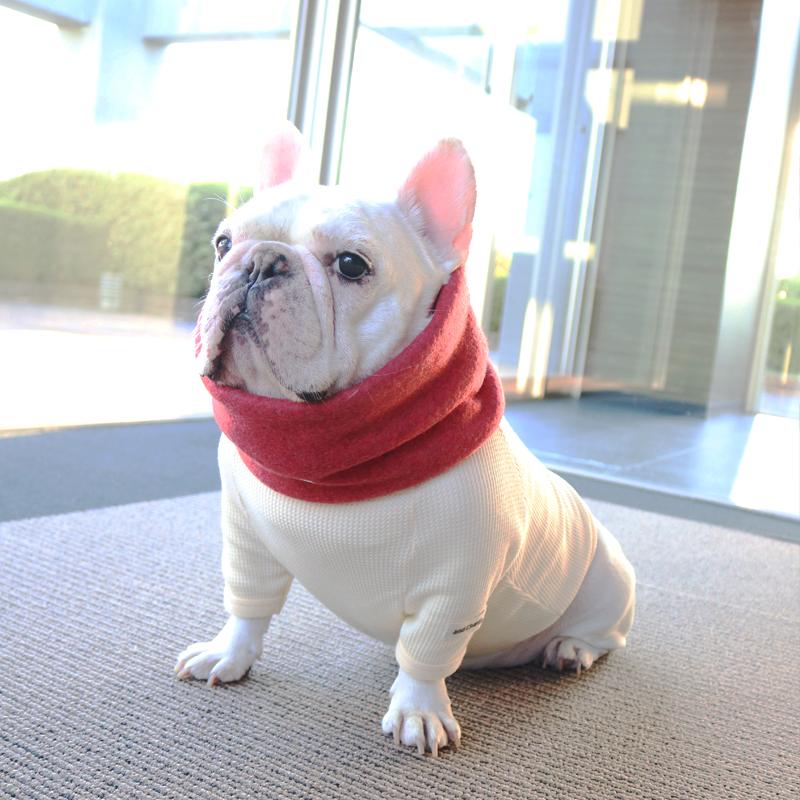 ネックウォーマー -レッド- - #andCharlie# - #アンドチャーリー#- #フレンチブルドッグ#- #フレブル#