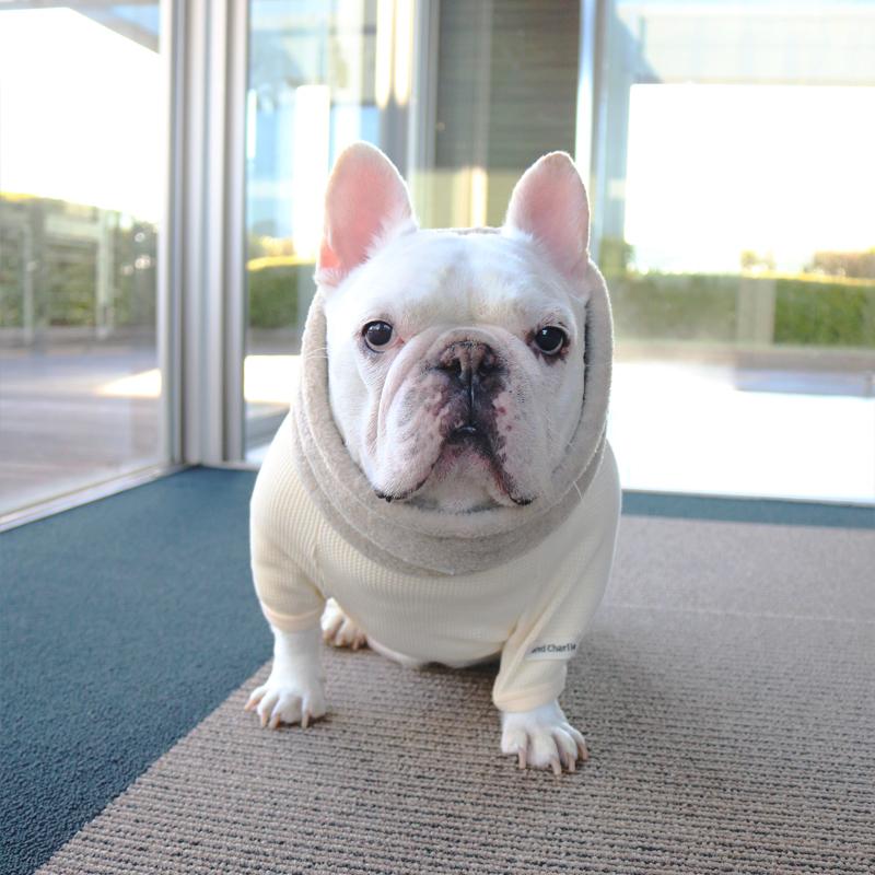 ネックウォーマー -イエローベージュ- - #andCharlie# - #アンドチャーリー#- #フレンチブルドッグ#- #フレブル#