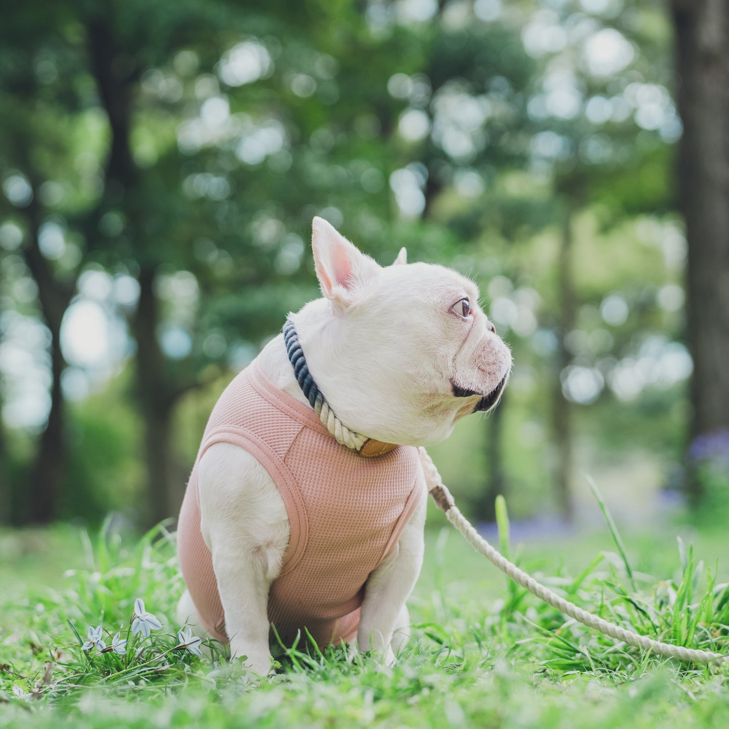 ワッフルタンク -スモーキーピンク- - #andCharlie# - #アンドチャーリー#- #フレンチブルドッグ#- #フレブル#