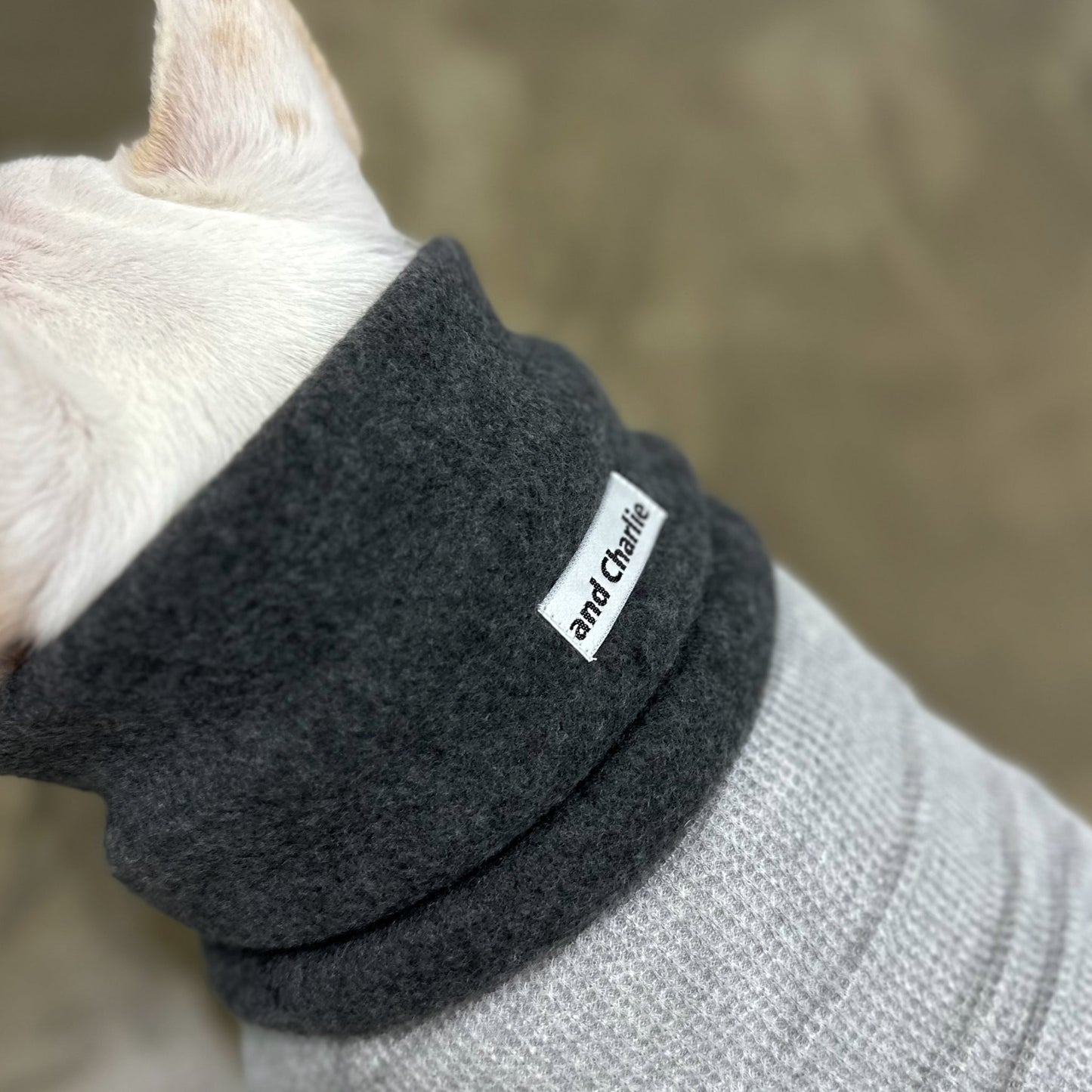 ネックウォーマー -スミクロ- - #andCharlie# - #アンドチャーリー#- #フレンチブルドッグ#- #フレブル#