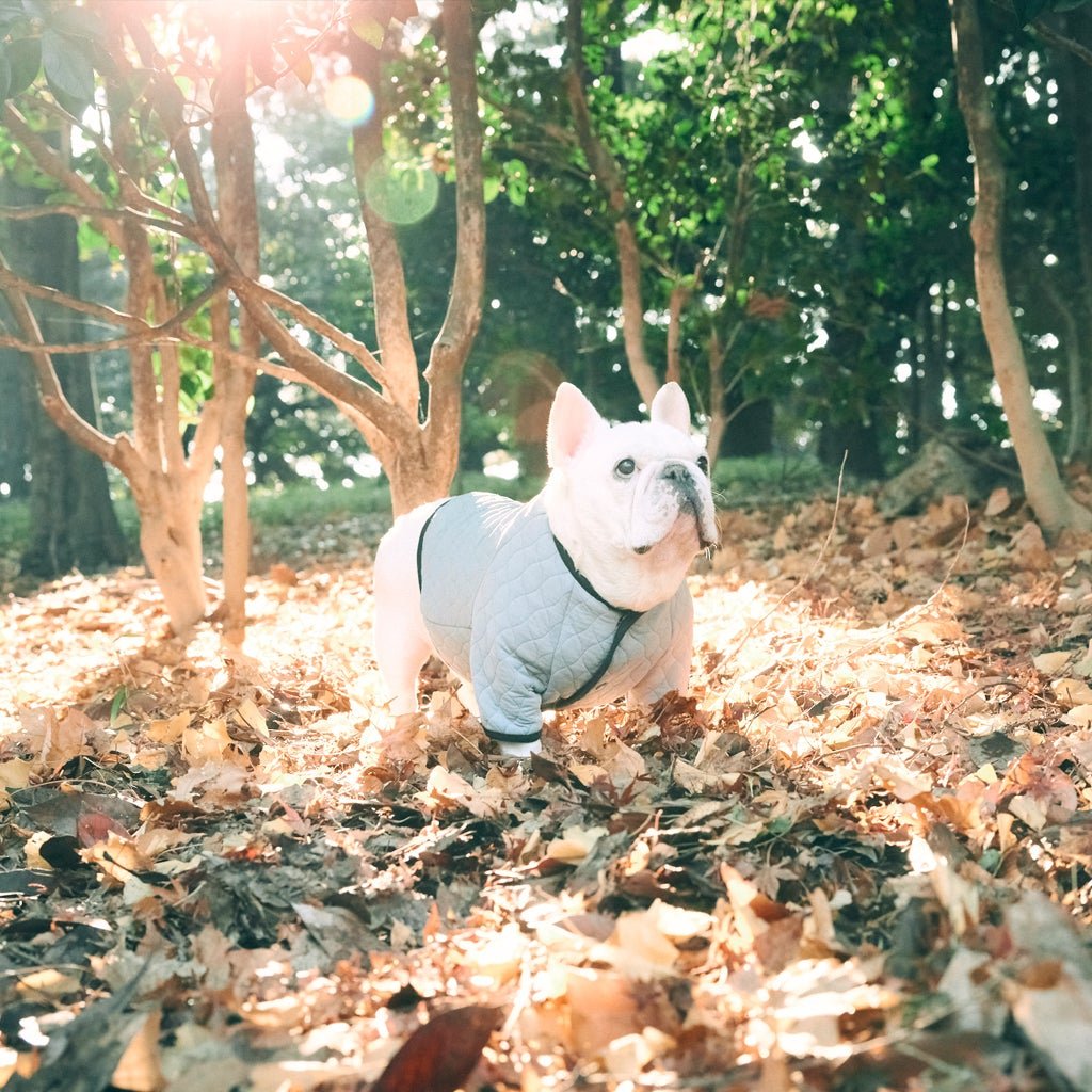 キルティングコート -スカイグレー- - #andCharlie# - #アンドチャーリー#- #フレンチブルドッグ#- #フレブル#