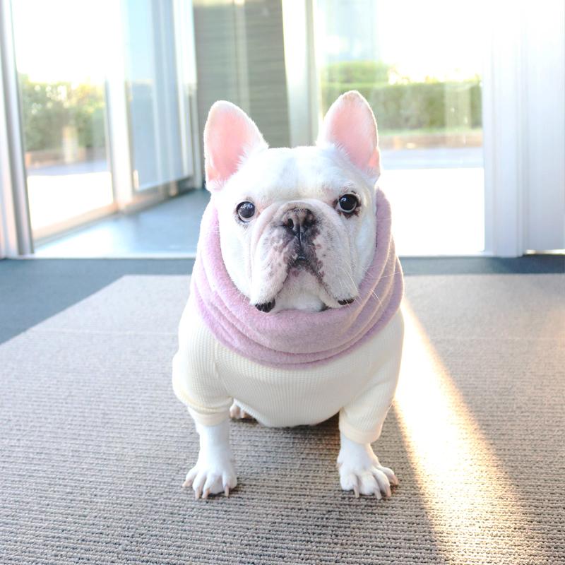 ネックウォーマー -ダスティピンク- - #andCharlie# - #アンドチャーリー#- #フレンチブルドッグ#- #フレブル#
