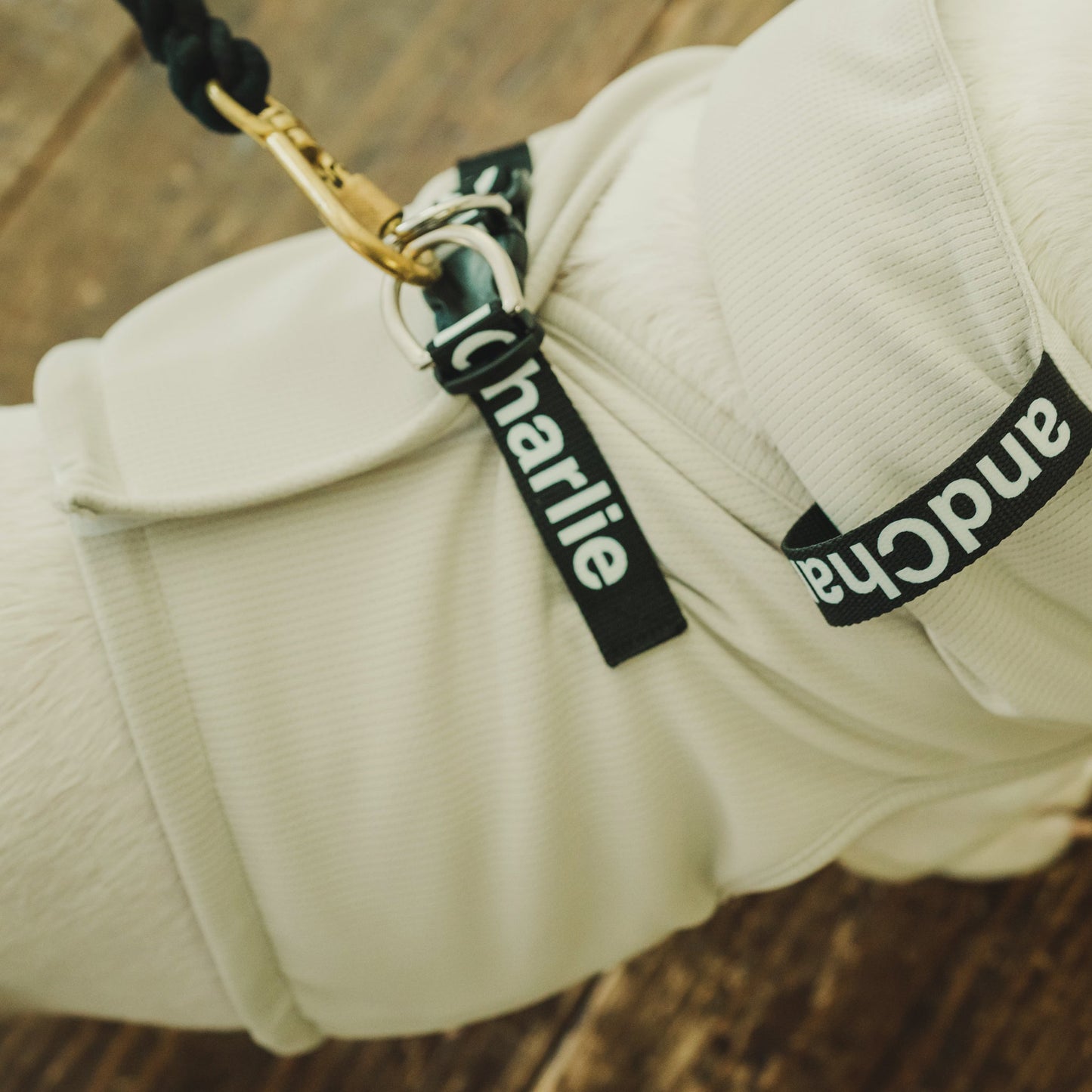 クールベスト -グレージュ- - #andCharlie# - #アンドチャーリー#- #フレンチブルドッグ#- #フレブル#