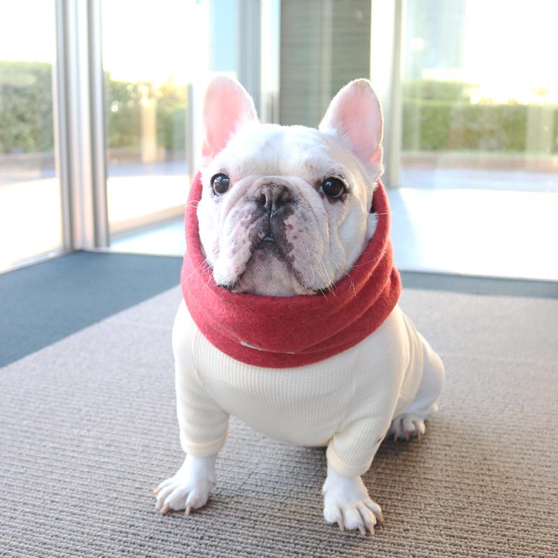 ネックウォーマー -レッド- - #andCharlie# - #アンドチャーリー#- #フレンチブルドッグ#- #フレブル#