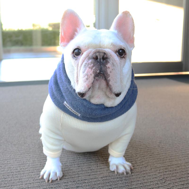 ネックウォーマー -スモーキーブルー- - #andCharlie# - #アンドチャーリー#- #フレンチブルドッグ#- #フレブル#