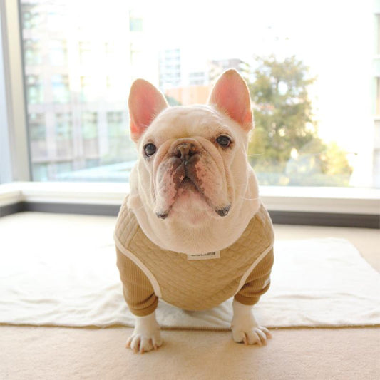 ナイトウェア -モカ- - #andCharlie# - #アンドチャーリー#- #フレンチブルドッグ#- #フレブル#